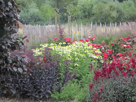 border aanleggen met een beplantingsplan